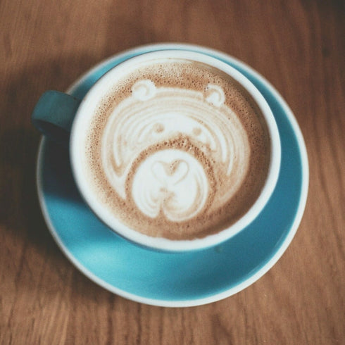 Barista for a day